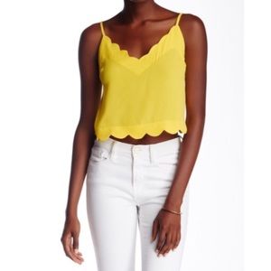 “Can’t Stop Me Now” Scalloped Crop Top by Lush